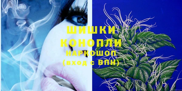 ECSTASY Медногорск