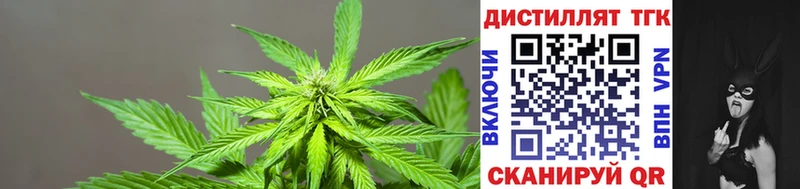 мега как войти  купить  цена  Игарка  ТГК вейп с тгк 