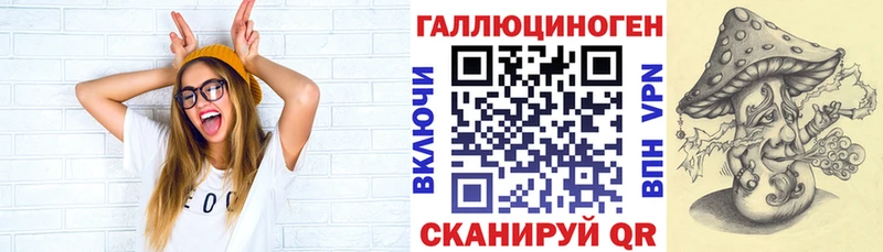 Галлюциногенные грибы Psilocybine cubensis  Игарка 